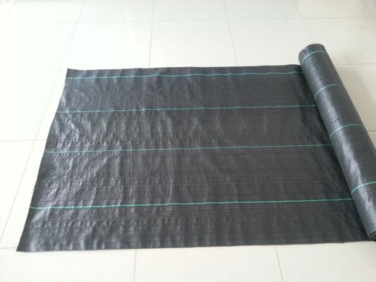 Black Color Weed Control Fabric, Ground Cover, PP woven Fabric, 2m x 100m/roll