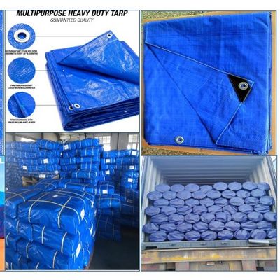 Multi Purpose PE Tarpaulin Heavy Duty Plastic Tarpaulin Blue PE Tarp