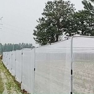 4m breed, scheurbestendige, HDPE zwarte insectennet met 50 mesh