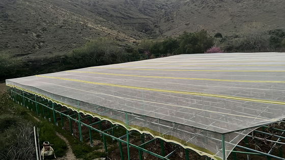 HDPE-UV-behandeld insectenbestendige landbouwnet zorgt voor traanbestendigheid